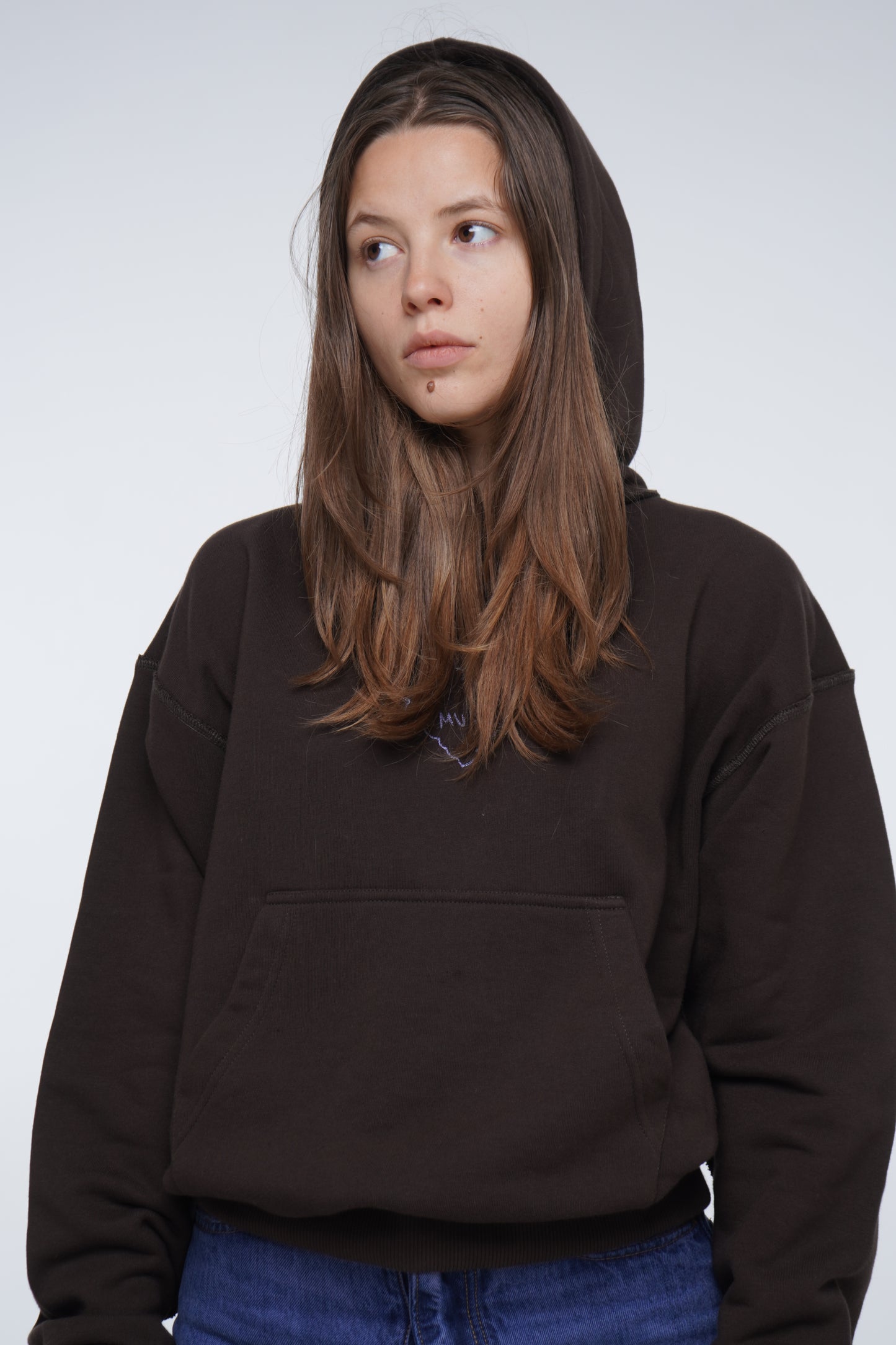 Brown embroidered hoodie 'I hate music'