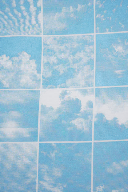 Cloudy sky print with grid overlay